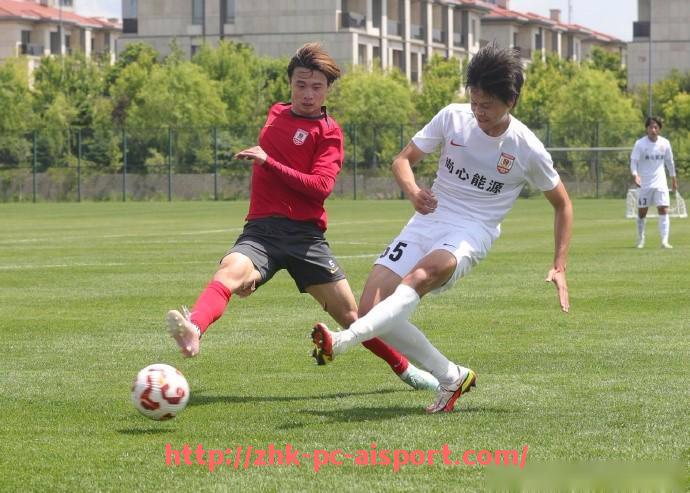 爱体育-法甲外援预测报告:未来赛季表现及转会动向展望